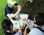 百舌鳥古墳群夏休み子どもウォークの巻