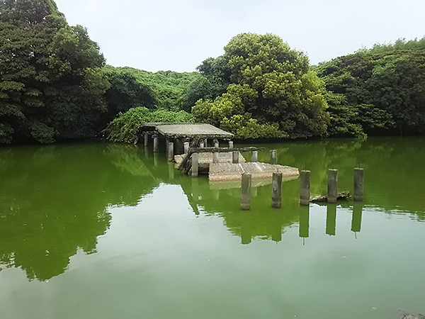 写真：堺市