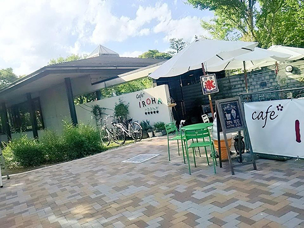 写真：カフェイロハ