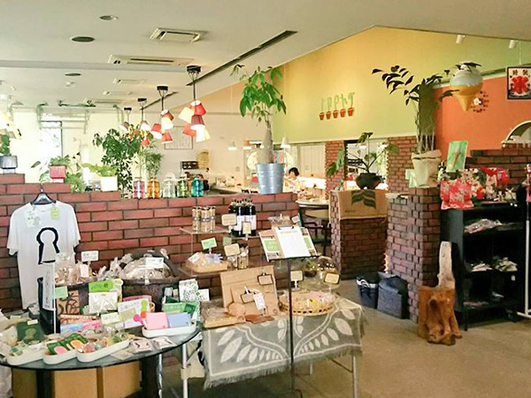 写真：カフェイロハ