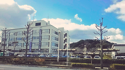 写真：羽曳野市役所