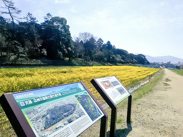 写真：応神天皇陵古墳外濠外堤