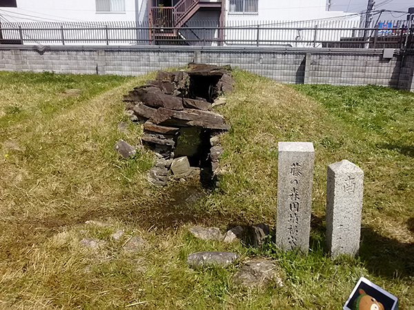写真：藤の森古墳（美陵ポンプ場内）